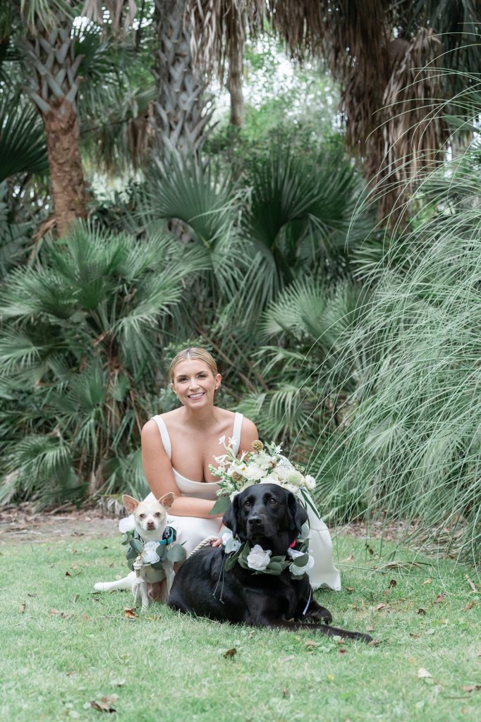 bride crouches down to pose with black lab and chihuahua dogs